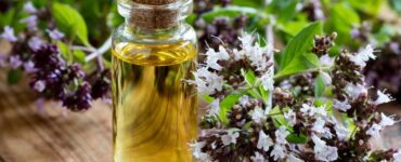 How to Make Oil From Oregano