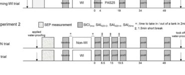 What Kind of Protocl Is E2 Priming