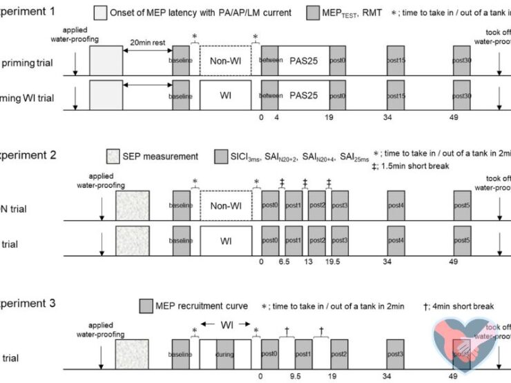 What Kind of Protocl Is E2 Priming