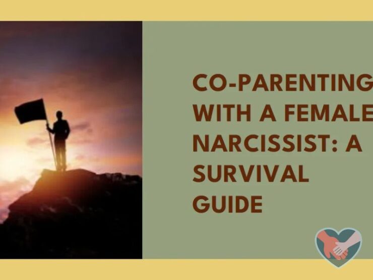 Co parenting with a narcissist