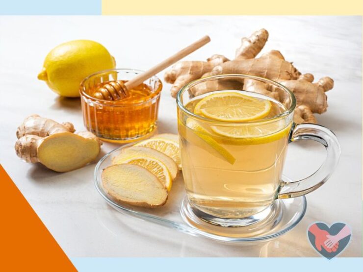 How to Take Ginger Glycerite for Morning Sickness