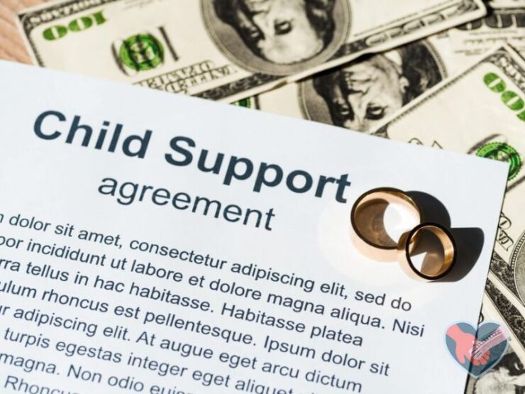 What is the average child support payment